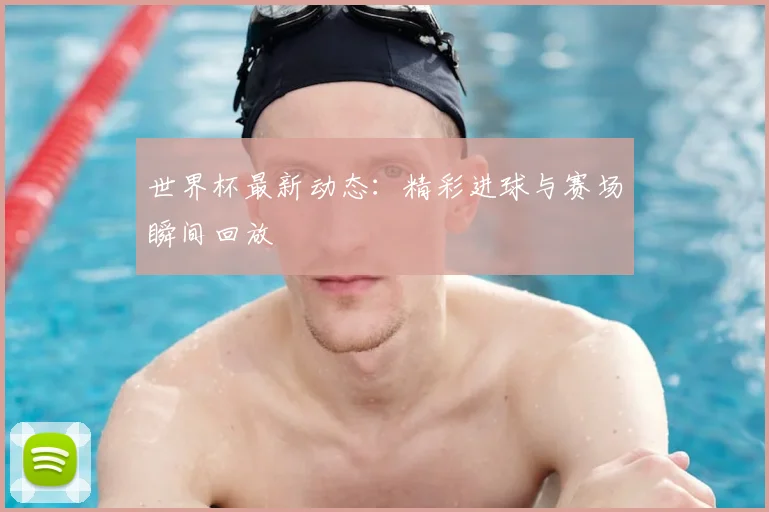 世界杯最新动态：精彩进球与赛场瞬间回放