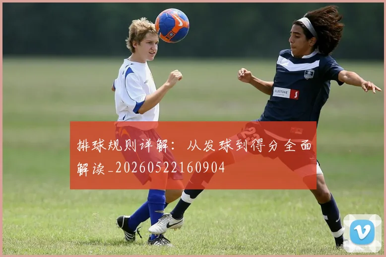 排球规则详解：从发球到得分全面解读_20260522160904